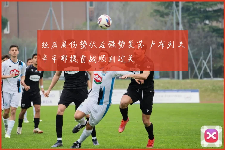 经历肩伤蛰伏后强势复苏 卢布列夫辛辛那提首战顺利过关
