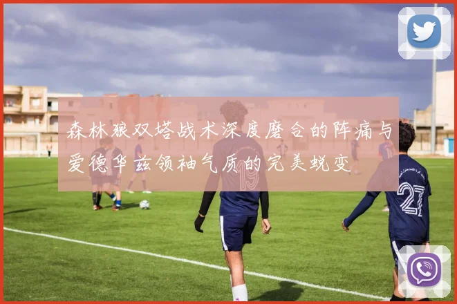 森林狼双塔战术深度磨合的阵痛与爱德华兹领袖气质的完美蜕变