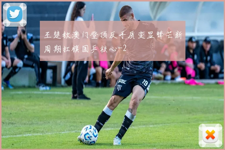 王楚钦澳门登顶反手质变显锋芒新周期扛旗国乒核心